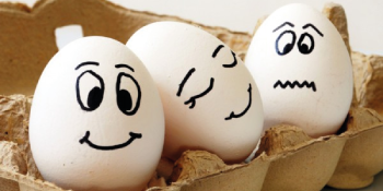 O ovo: herói ou vilão - Blog - Educação Nota 10