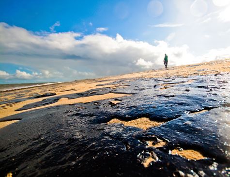 O Óleo que Contaminou o Litoral Brasileiro: O maior desastre ambiental do país - Blog - Educação Nota 10